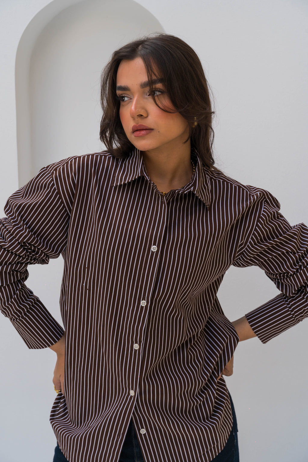 The Stripe Shirt - Brown